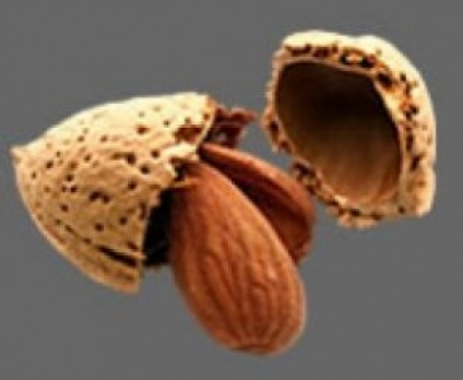 Миндальный аромат