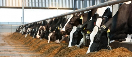 Кормовые ароматизаторы Del’Ar