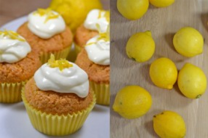 Смесь Микс Лимонный Денфай (Россия)