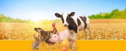 Пробиотическая кормовая добавка AiBi 24.02. 